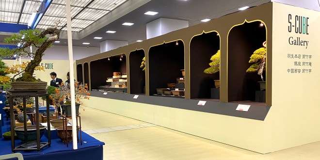 2019年第39届日本盆景大观展