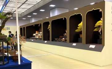 2019年第39届日本盆景大观展 第4部分