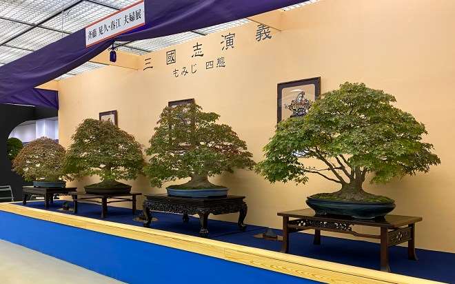 第39届日本盆景大观展