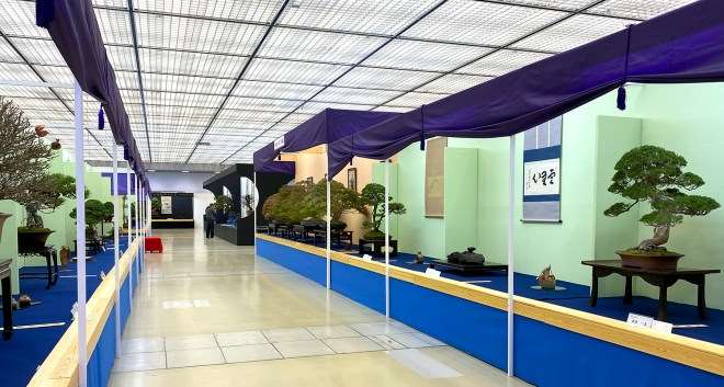 第39届日本盆景大观展