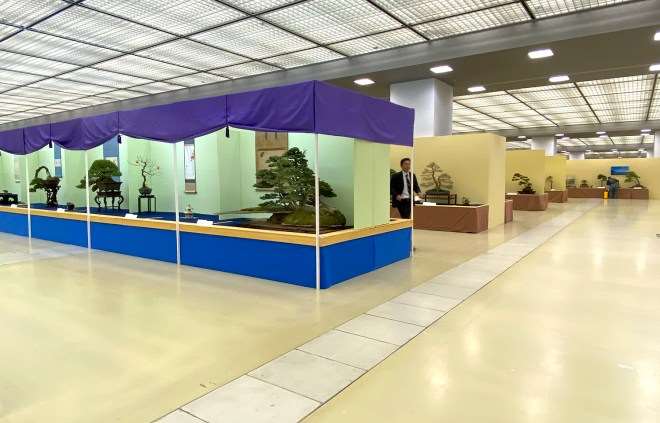 第39届日本盆景大观展