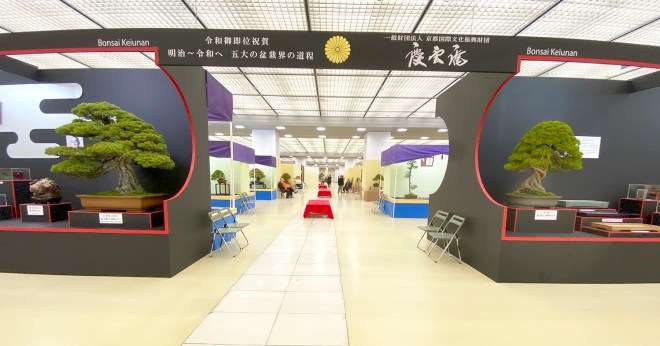 第39届日本盆景大观展