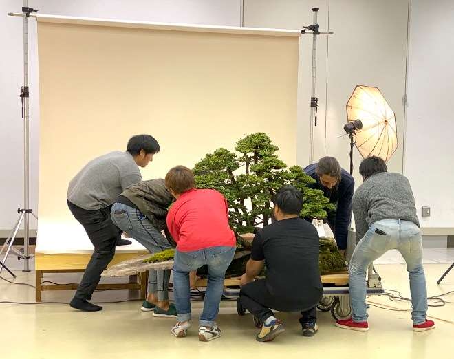 第39届日本盆景大观展