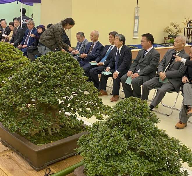 第39届日本盆景大观展