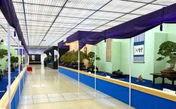 2019年第39届日本盆景大观展 第1部分