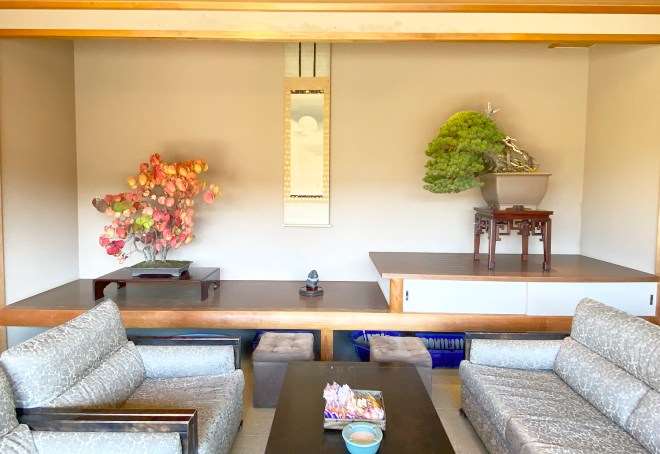 秋季日本国际盆景考察 