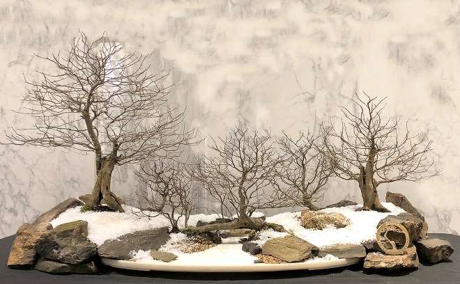 2019 第七届冬季盆景剪影博览会