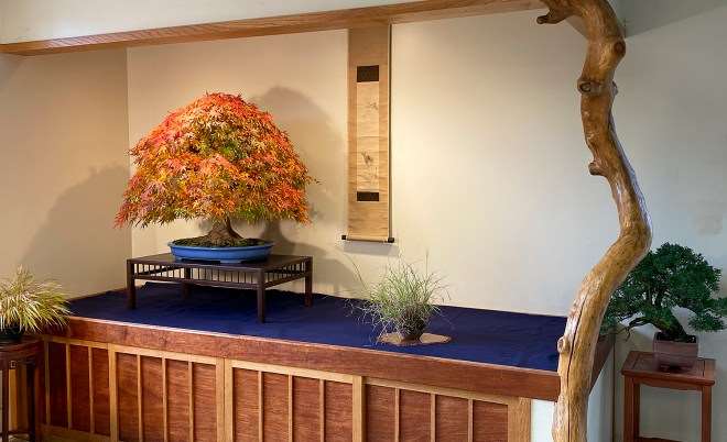 国际盆景植物园秋美