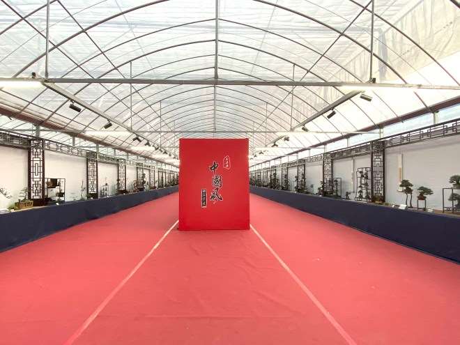 第五届中国风小品盆景展 图片