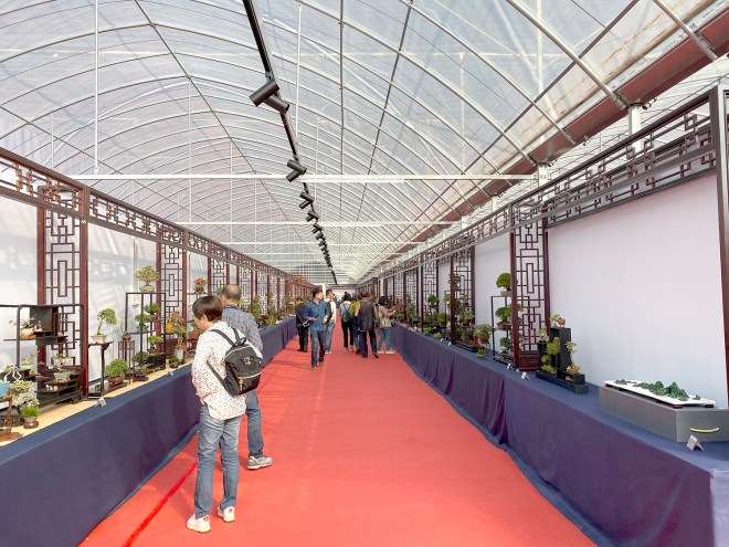 第五届中国风小品盆景展 图片