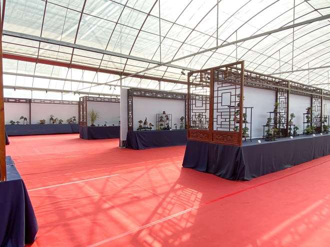 第五届中国风小品盆景展 图片