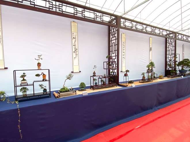 第五届中国风小品盆景展 图片