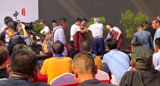 第五届中国风盆景展