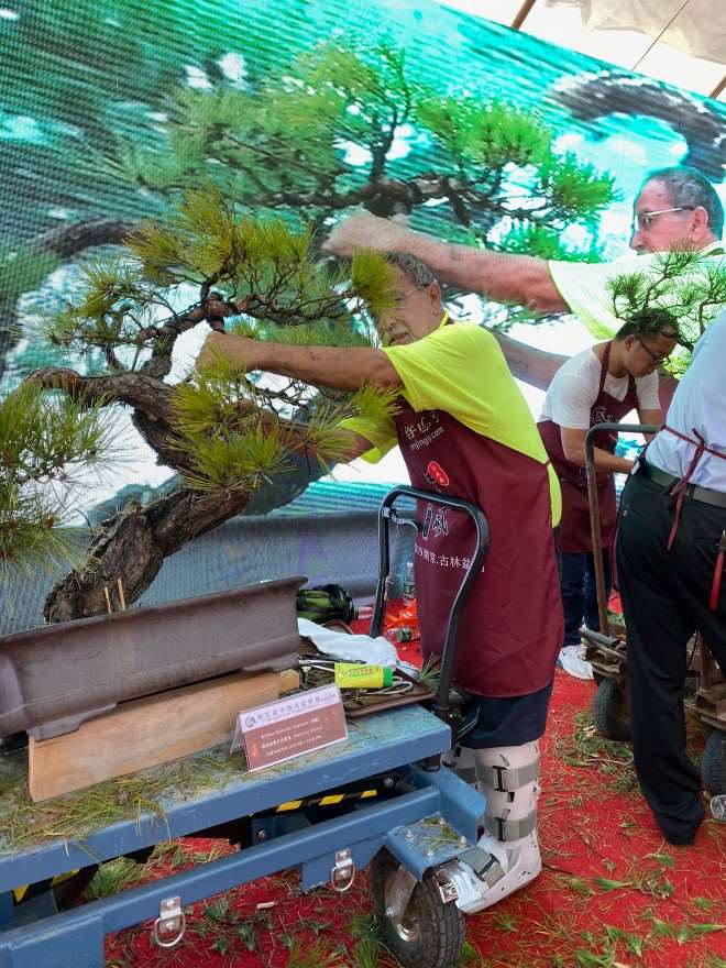 第五届中国风盆景展