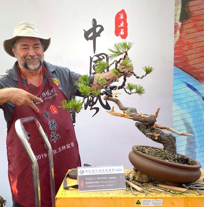 第五届中国风盆景展