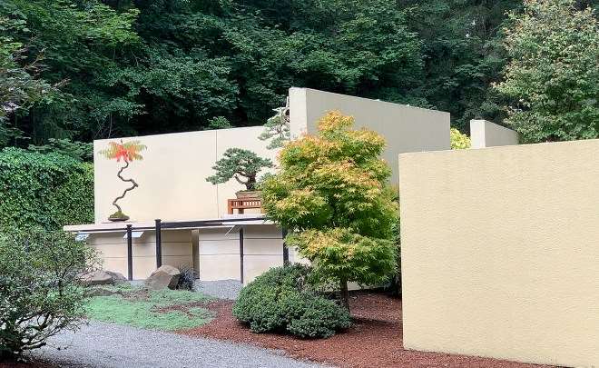 参观华盛顿太平洋盆景博物馆