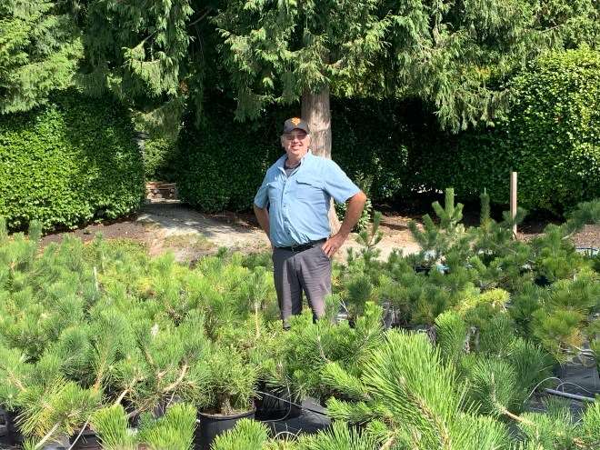 访问加拿大Gerald Rainville盆景园