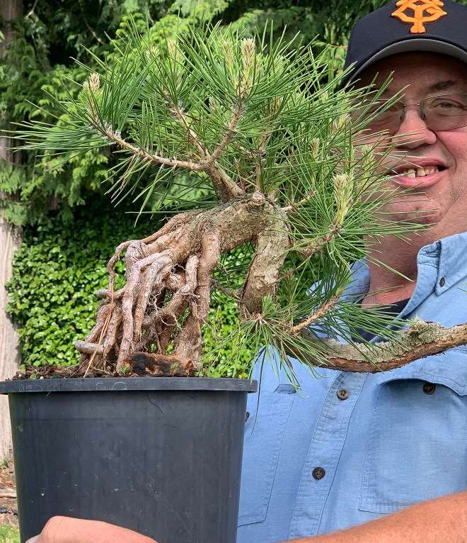 访问加拿大Gerald Rainville盆景园