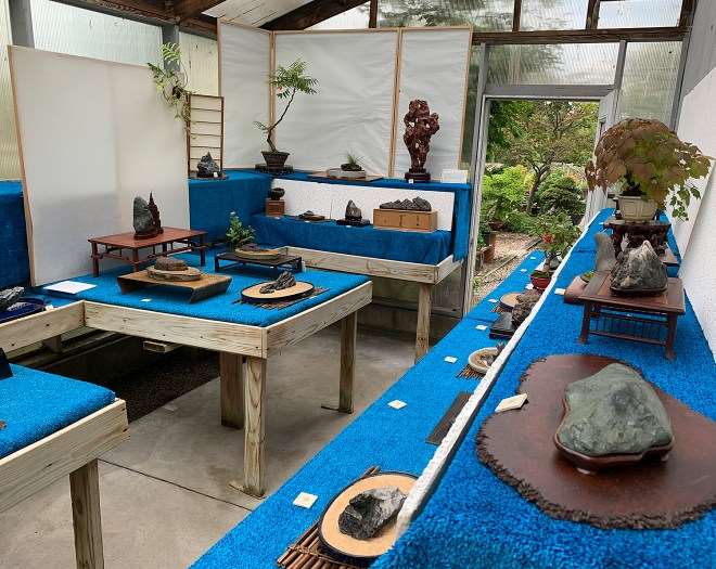 2019第六届纽约北部水石盆景展