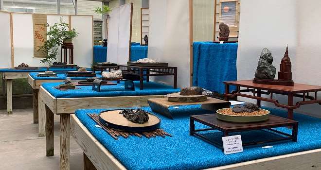 2019第六届纽约北部水石盆景展