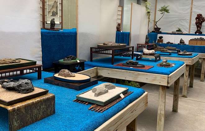 2019第六届纽约北部水石盆景展