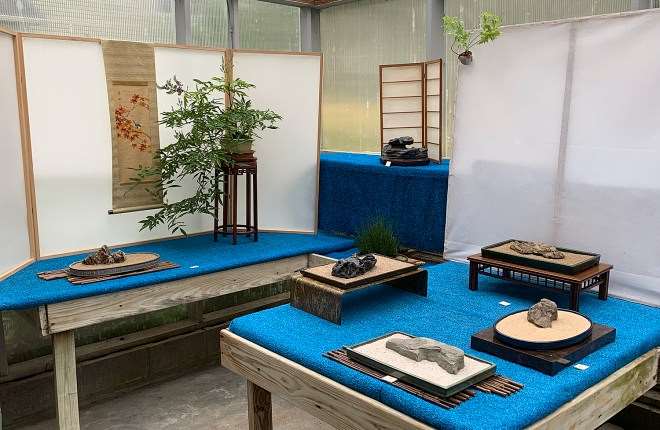 2019第六届纽约北部水石盆景展