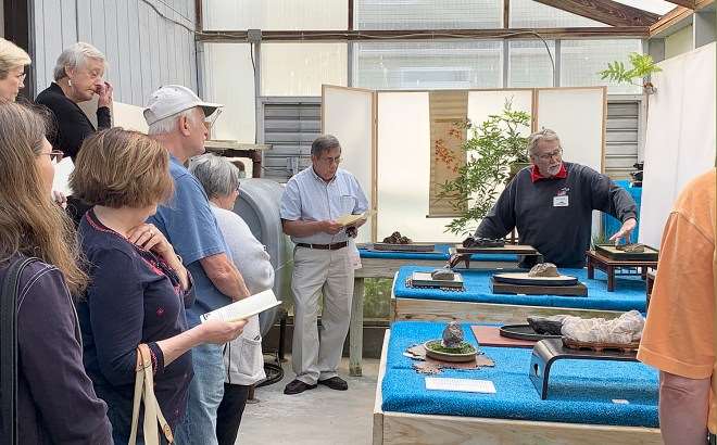 2019第六届纽约北部水石盆景展