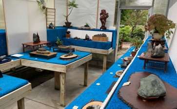 2019第六届纽约北部水石盆景展