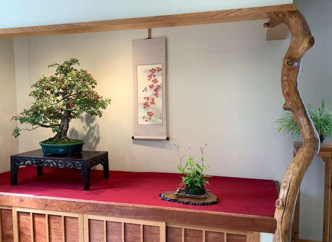 2019 秋季盆景开放日及特卖