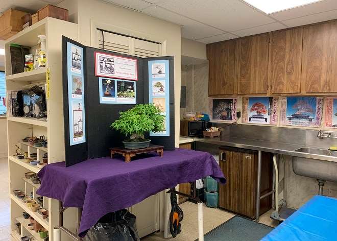 2019 秋季盆景开放日及特卖