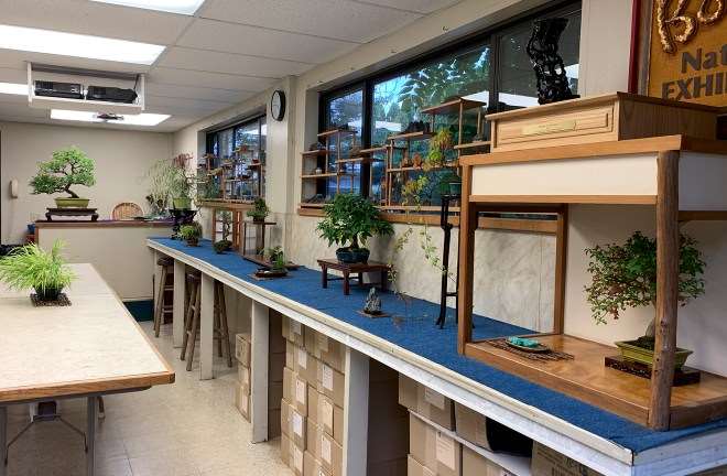 2019 秋季盆景开放日及特卖