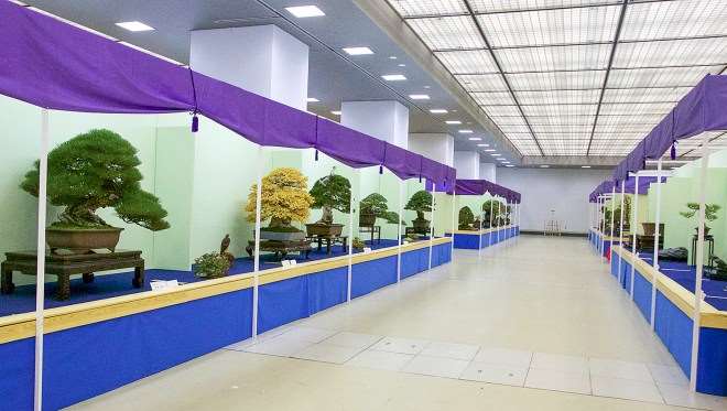 您有没有想过参观日本盆景社区 图片