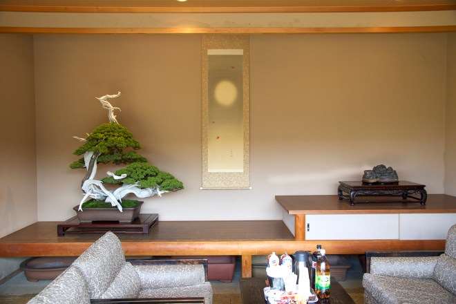 参观日本盆景社区