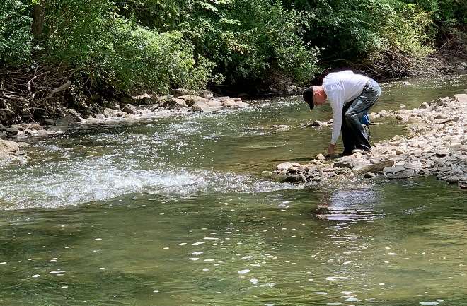 水石盆景的收集之旅