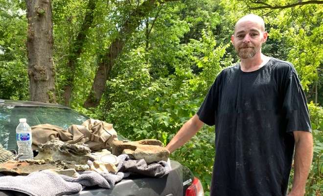 水石盆景的收集之旅