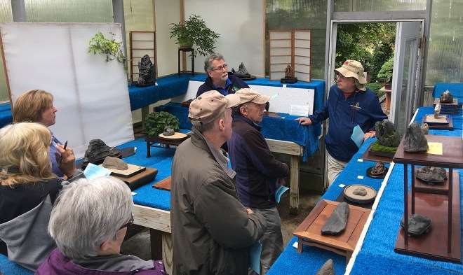 水石盆景的收集之旅