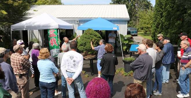 水石盆景的收集之旅