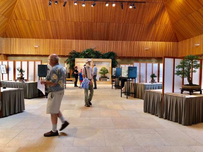 中西部盆景展即将举办