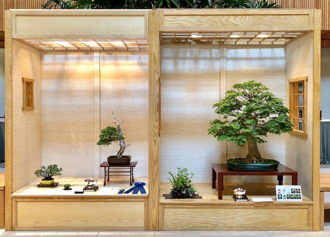 中西部盆景展即将举办