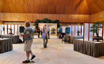 2019 中西部盆景展即将举办 图片