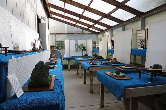 2019 年开放日 特卖盆景和水石展示