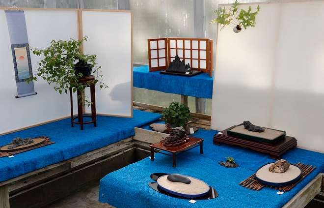 2019 年开放日 特卖盆景和水石展示