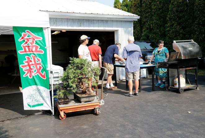 2019 年开放日 特卖盆景和水石展示