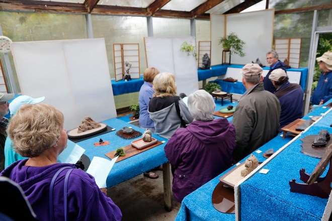 2019 年开放日 特卖盆景和水石展示