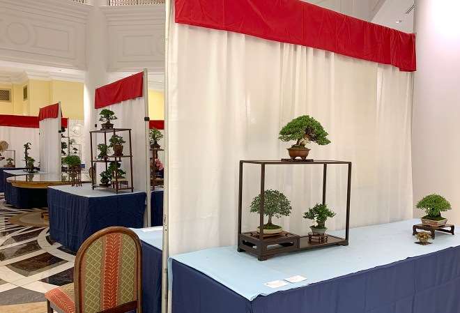 第二届美国全国小品盆景展