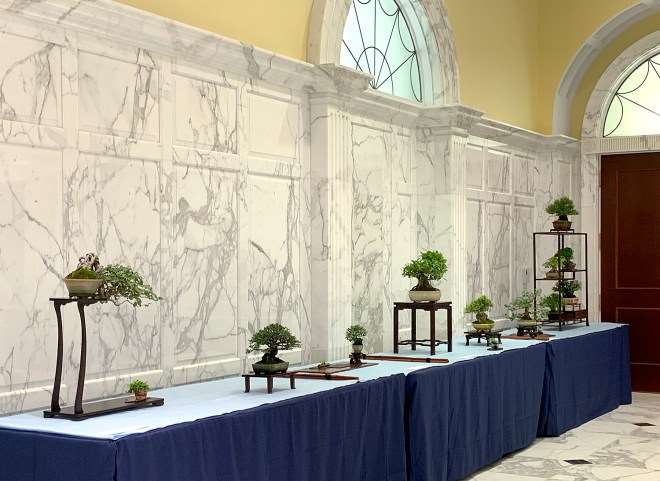 第二届美国全国小品盆景展