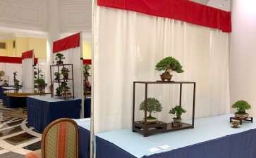 2019第二届美国全国小品盆景展 图片