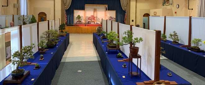 第46届纽约上州盆景展销会