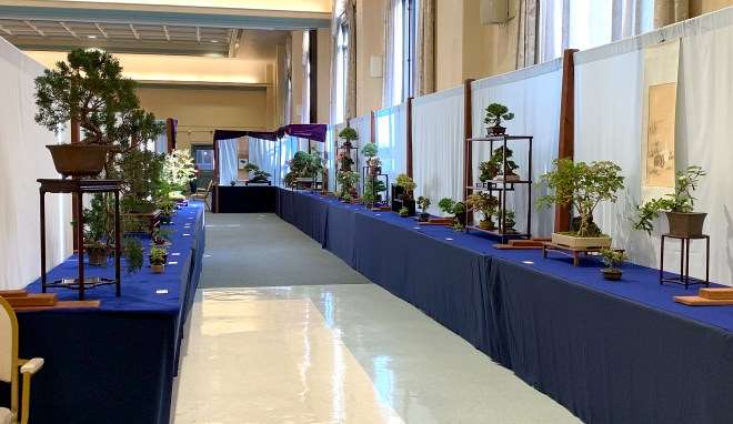 第46届纽约上州盆景展销会