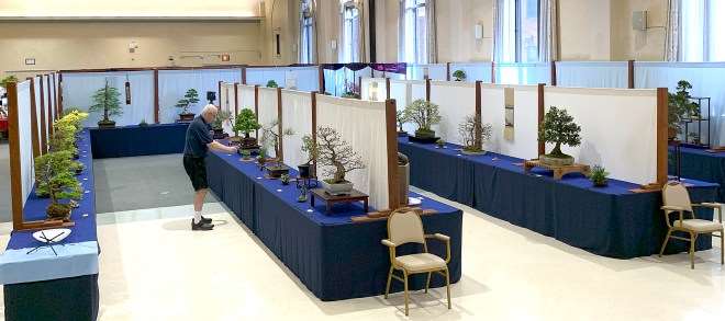 第46届纽约上州盆景展销会